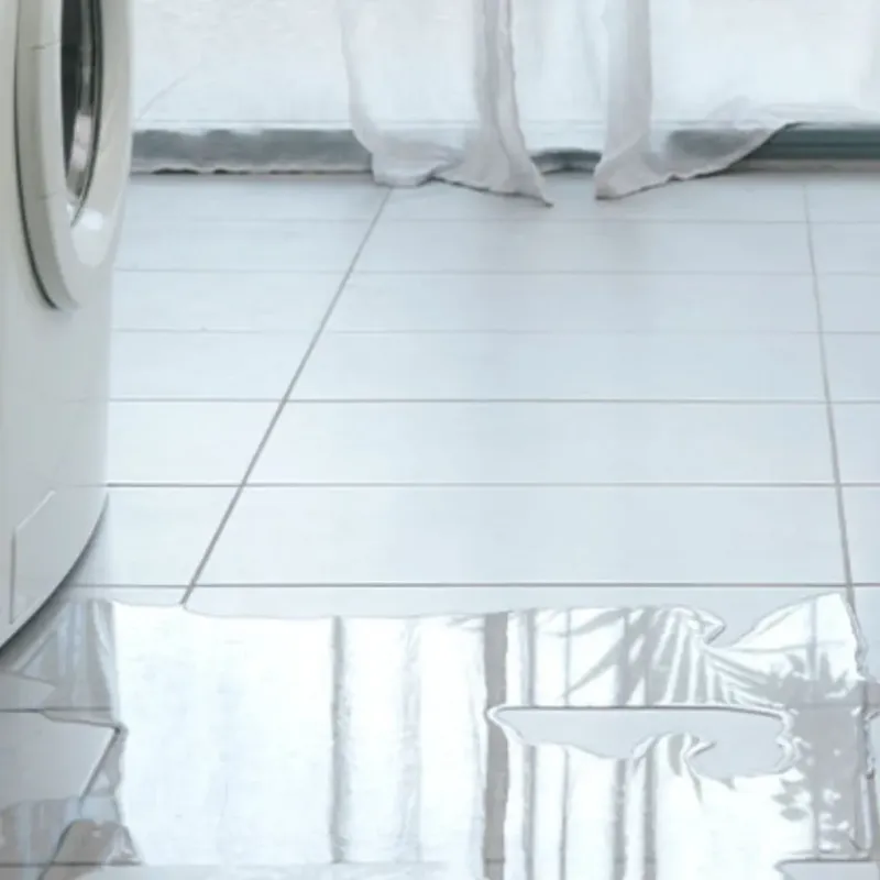 Appliance Leak Cleanup in Hartland, WI