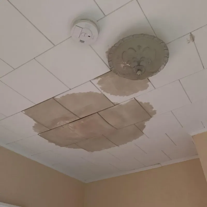 Ceiling Water Damage Repair in Hartland, WI