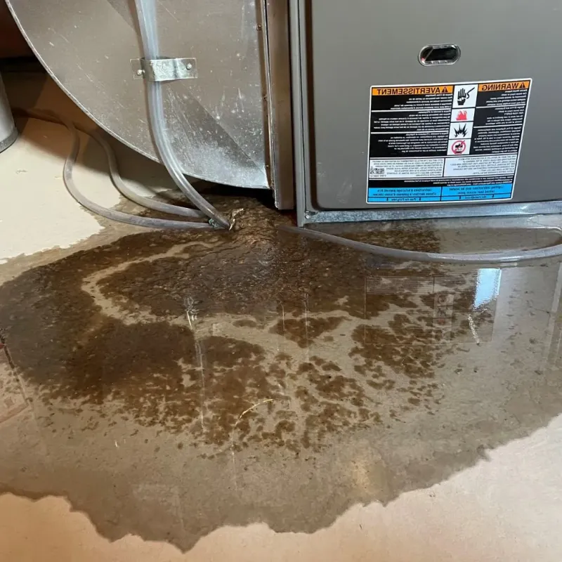 Pipe Burst and Leak Restoration in Hartland, WI